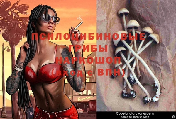 бошки Абинск