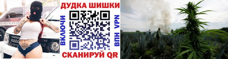 Конопля MAZAR Сургут